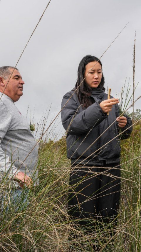 Instagram post from loule_criativo. This post is in position 10.